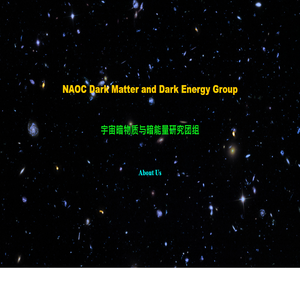 NAOC Dark Matter and Dark Energy Group