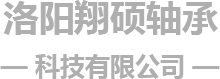 洛阳翔硕轴承科技有限公司